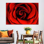 Velvety Red Rose Close-up Wall Art