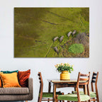 Aerial Herd of Elephants Wall Art