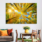 Golden Autumn Canopy Wall Art