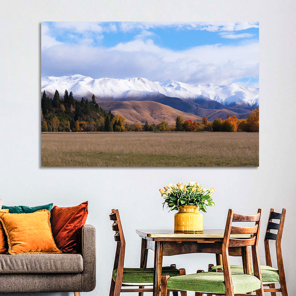 Ben Ohau Mountain Meadow Wall Art