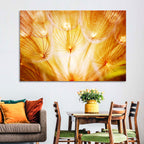 Golden Hour Dandelion Seed Macro Abstract Wall Art