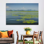 Lake Skadar Water Lilies Wall Art