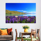 Lake Tekapo Lupine Fields Wall Art