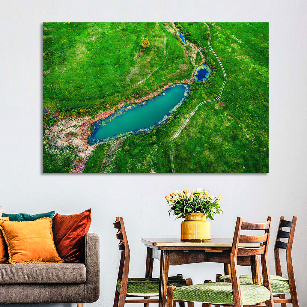 Meadows Lake Aerial Wall Art