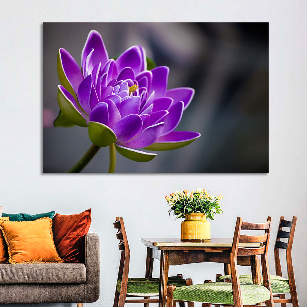 Purple Water Lily Close-up Wall Art