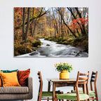 Sunlit Forest Stream Wall Art