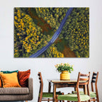 Aerial Autumn Forest Road Wall Art