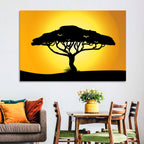 Acacia at Sunset Wall Art