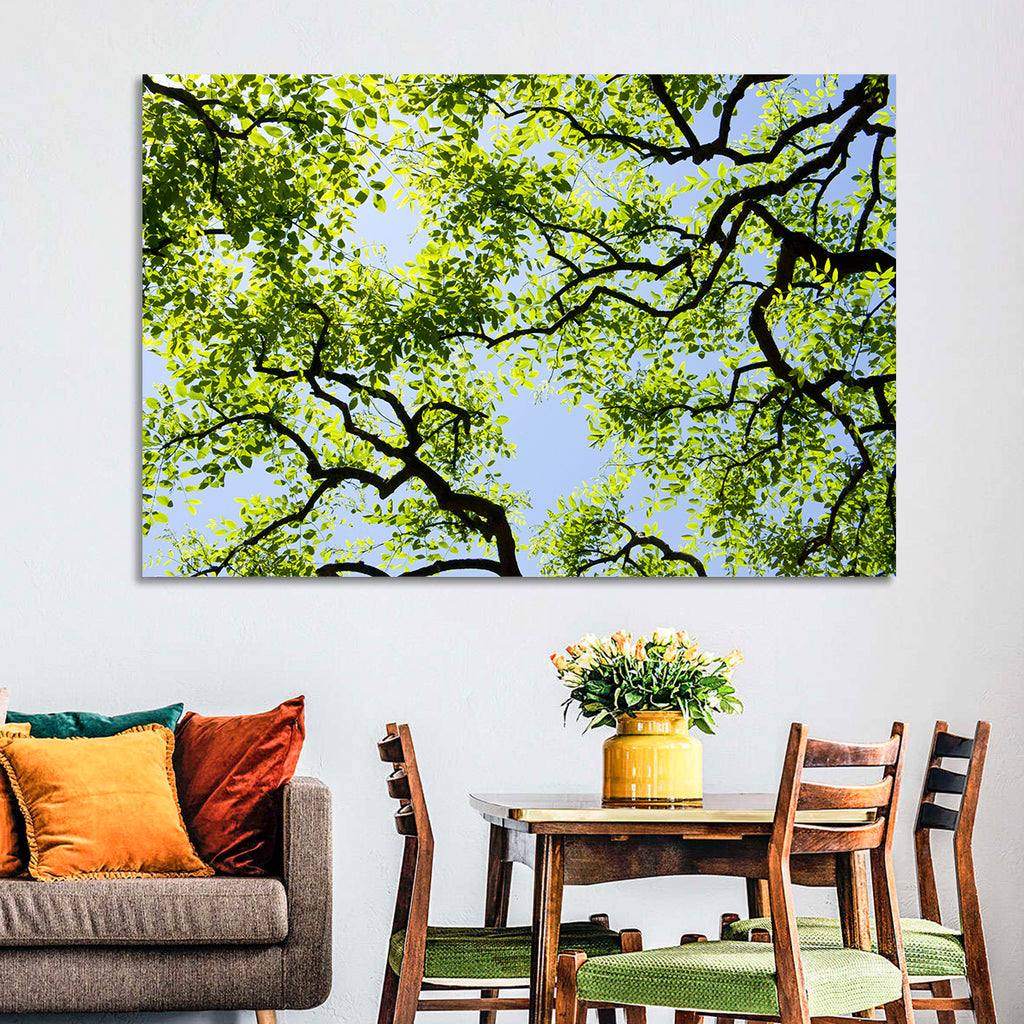 Sunlit Tree Canopy Wall Art