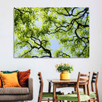 Sunlit Tree Canopy Wall Art