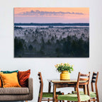 Estonian Misty Pine Landscape Wall Art