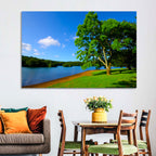 Lake Ippeki Solitary Tree Wall Art