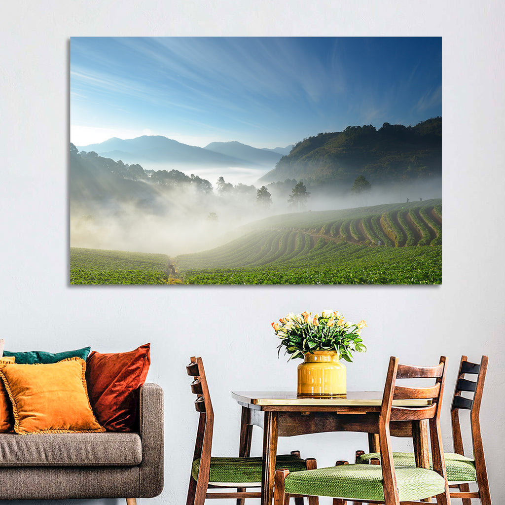 Sunlit Terraced Tea Hills Wall Art