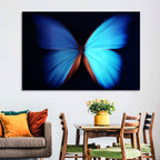 Blue Butterfly Macro Study Wall Art