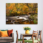 Dartmoor Autumn River in Golden Forest Wall Art