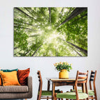 Spring Canopy in Morning Mist Wall Art