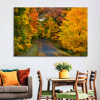 Autumn Road Through Wisconsin Park Wall Art
