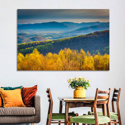 Shenandoah National Park Wall Art