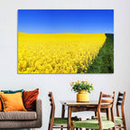 Sunlit Rapeseed Field Wall Art