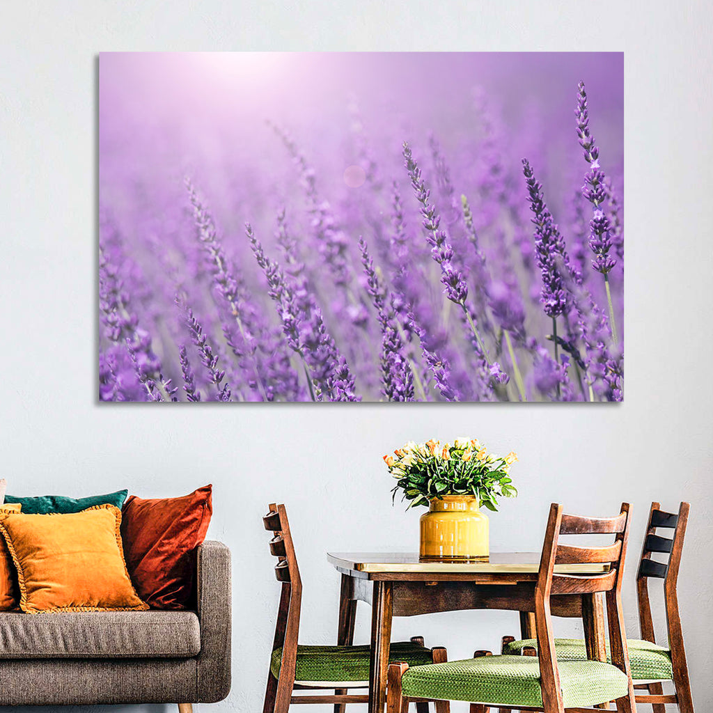 Sunlit Lavender Field Wall Art