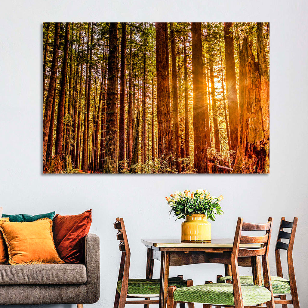 Golden Hour Redwood Sunburst Wall Art