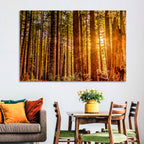 Golden Hour Redwood Sunburst Wall Art