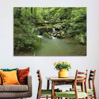 Arkansas Forest Stream Wall Art