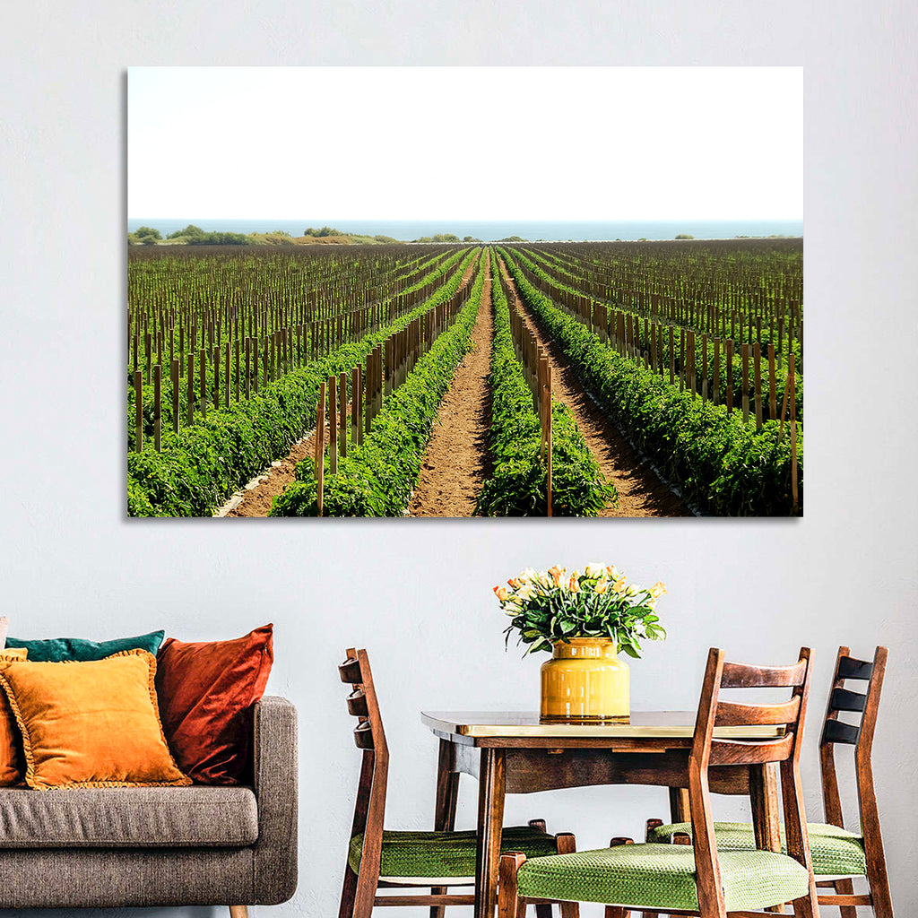 Tomato Fields Wall Art