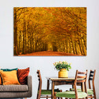 Golden Beech Tree Tunnel in Autumn Wall Art