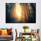 Misty Redwood Road with Golden Sunburst Wall Art