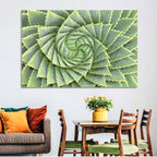 Spiral Aloe Close-up Wall Art