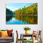White Mountain Forest Reflections Wall Art