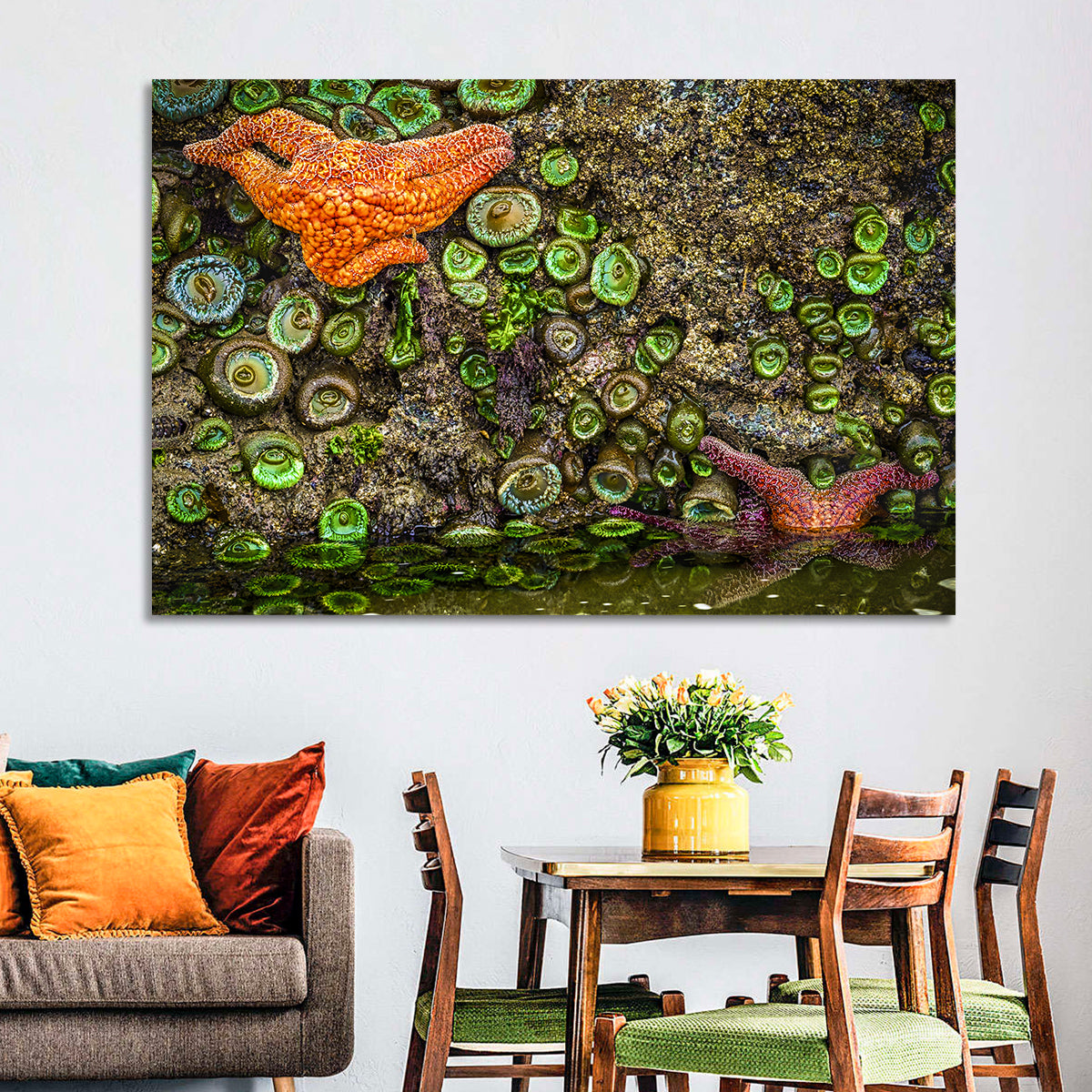 Orange Starfish Tide Pool Wall Art