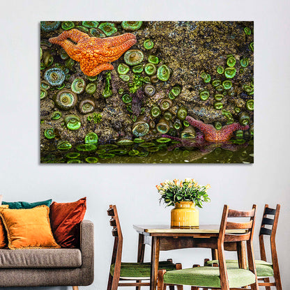 Orange Starfish Wall Art