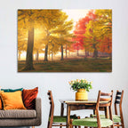 Foggy Autumn Forest Wall Art