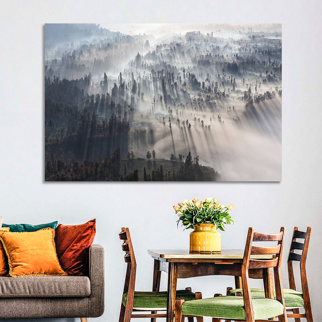 Misty Forest Sunrise Wall Art