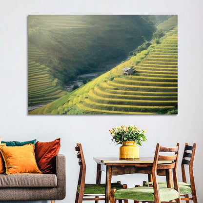 Rice Fields Wall Art