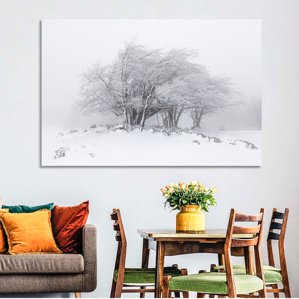 Rime Coated Winter Trees Wall Art