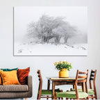 Rime Coated Winter Trees Wall Art