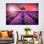 Sunset Over Lavender Fields Wall Art