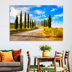 Sunlit Tuscany Cypress Road Wall Art