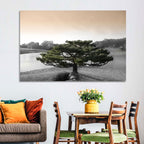 Bonsai Pine in Japanese Garden Wall Art