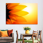 Backlit Sunflower Petals Wall Art