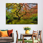 Gnarled Japanese Maple by Garden Pond Wall Art