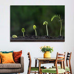 Five-stage Plant Growth Wall Art