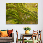 Macro Algae Stream Wall Art