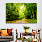 Sunlit Forest Pathway Wall Art