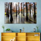 Autumn Flooded Cypress Forest Wall Art
