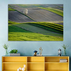 Springtime Polish Fields Wall Art