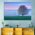 Misty Sumava Mountain Tree Wall Art
